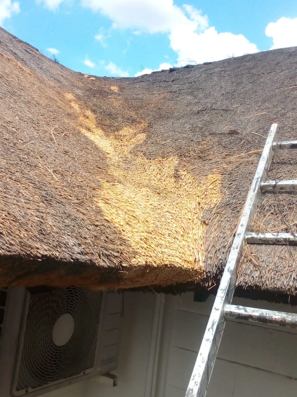 Thatching Services